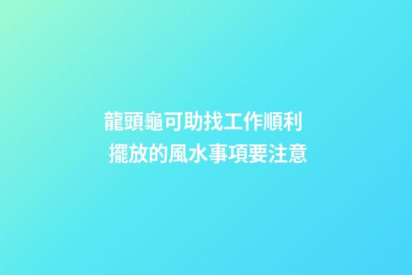 龍頭龜可助找工作順利  擺放的風水事項要注意